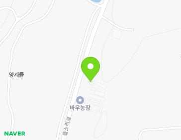 전라남도 영암군 신북면 들소리로 184 (바우농장) 지도