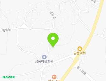 전라남도 영암군 신북면 금동길 20 (금동노인정) 지도