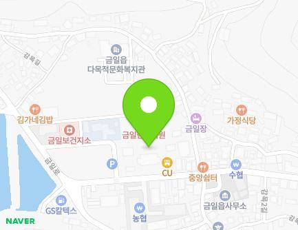 전라남도 완도군 금일읍 금일로 383 (금일읍노인회) 지도