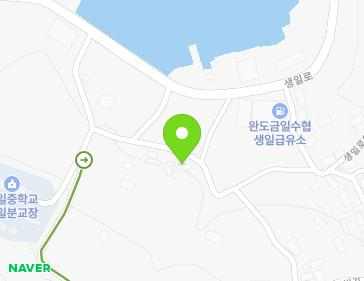 전라남도 완도군 생일면 생일로613번길 31 (생령교회) 지도