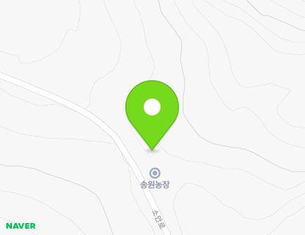 전라남도 완도군 소안면 소안로 403 지도
