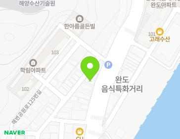 전라남도 완도군 완도읍 해변공원로 133 지도