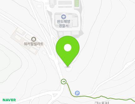 전라남도 완도군 완도읍 군내길 91 (타워팰리스) 지도