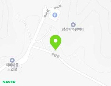 전라남도 장성군 황룡면 백비길 39 지도