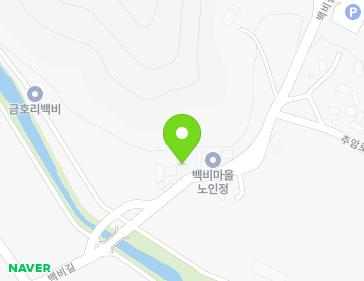 전라남도 장성군 황룡면 백비길 19 지도