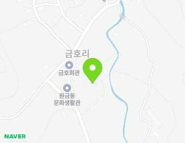 전라남도 장성군 황룡면 금동길 34-2 지도
