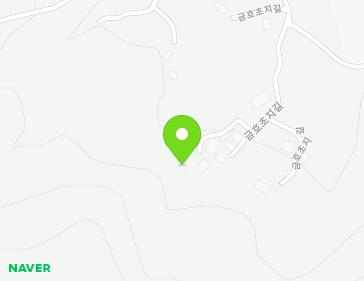 전라남도 장성군 황룡면 금호초지길 46-5 지도