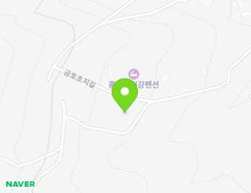 전라남도 장성군 황룡면 금호초지길 24-33 지도