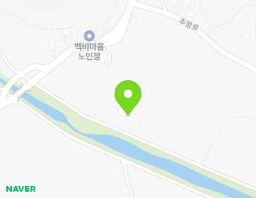 전라남도 장성군 황룡면 백비길 36-16 지도