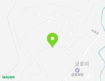 전라남도 장성군 황룡면 금동길 47-5 지도
