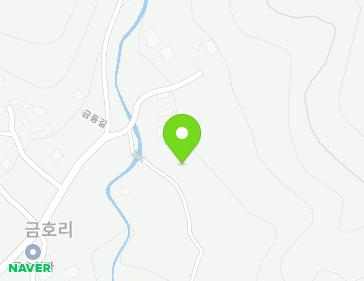 전라남도 장성군 황룡면 금동길 20-40 지도