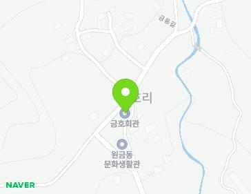 전라남도 장성군 황룡면 금동길 34-7 (금호노인정) 지도