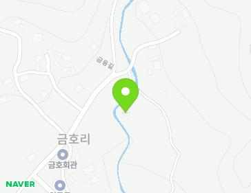 전라남도 장성군 황룡면 금동길 20-41 지도
