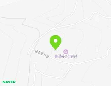 전라남도 장성군 황룡면 금호초지길 24-37 지도
