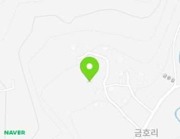 전라남도 장성군 황룡면 금동길 47-13 지도
