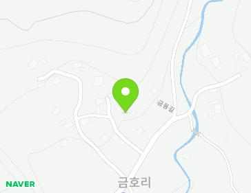 전라남도 장성군 황룡면 금동길 53-8 지도