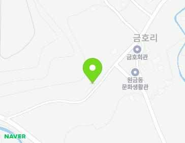 전라남도 장성군 황룡면 금동길 41-8 지도