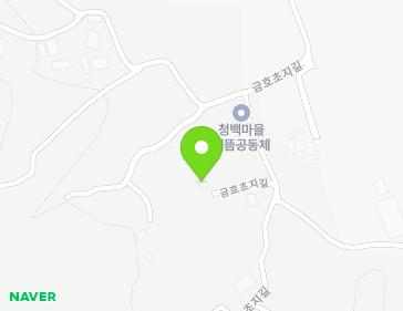 전라남도 장성군 황룡면 금호초지길 32-6 지도