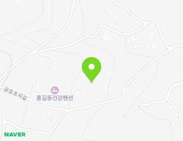 전라남도 장성군 황룡면 금호초지길 24-35 지도