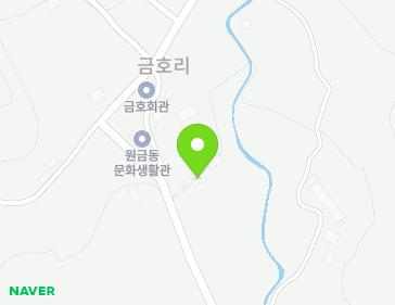 전라남도 장성군 황룡면 금동길 28 지도