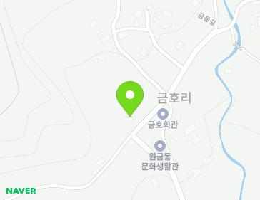 전라남도 장성군 황룡면 금동길 43 지도