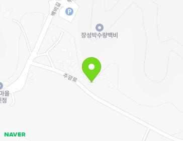전라남도 장성군 황룡면 백비길 45 지도