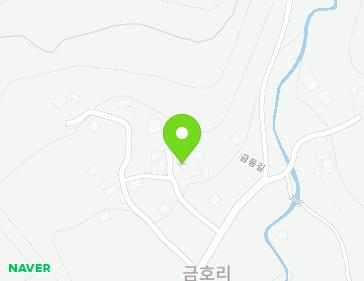 전라남도 장성군 황룡면 금동길 53-10 지도
