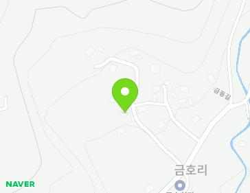 전라남도 장성군 황룡면 금동길 47-11 지도