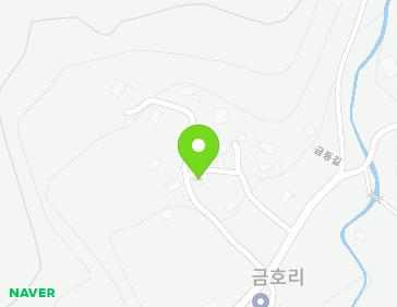 전라남도 장성군 황룡면 금동길 47-10 지도