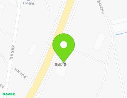 전라남도 장흥군 대덕읍 양하덕촌길 13-38 지도