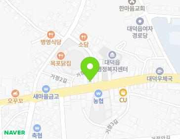 전라남도 장흥군 대덕읍 대대로 925 지도