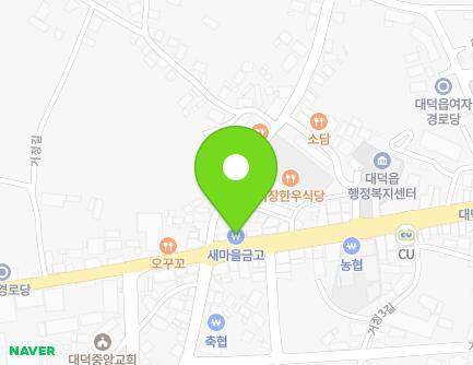 전라남도 장흥군 대덕읍 대대로 915-1 (MG새마을금고(정남진대덕지점)) 지도