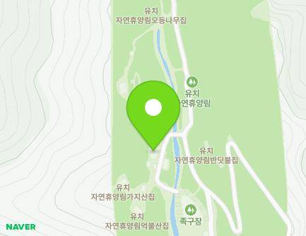 전라남도 장흥군 유치면 휴양림길 154 (유치자연휴양림) 지도