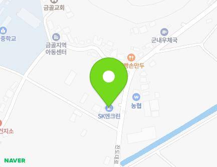 전라남도 진도군 군내면 진도대로 7955 (금골산주유소) 지도