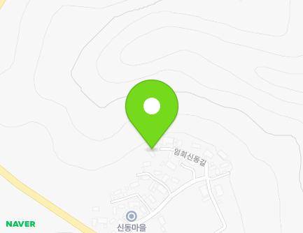 전라남도 진도군 임회면 임회신동길 60-61 지도