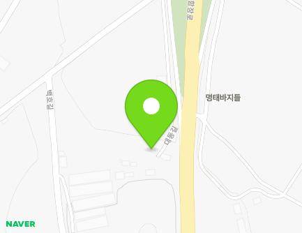 전라남도 함평군 대동면 대동길 200-20 지도
