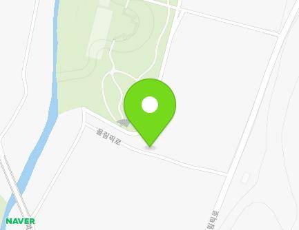 전라남도 함평군 대동면 올림픽로 48-12 지도