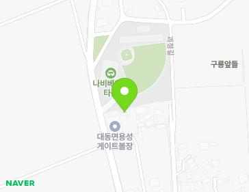 전라남도 함평군 대동면 괴정길 3-13 지도