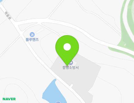 전라남도 함평군 대동면 학동로 386 (함평소방서) 지도