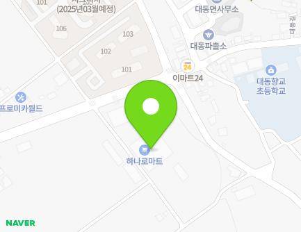 전라남도 함평군 대동면 영수길 372 (나비골농협(마트)) 지도