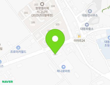 전라남도 함평군 대동면 영수길 374 (나비골농협대동지점) 지도