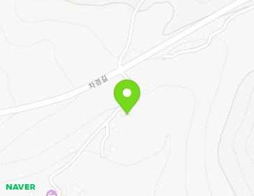 전라남도 함평군 손불면 차경길 80 지도