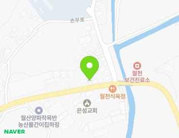 전라남도 함평군 손불면 손무로 1060 지도