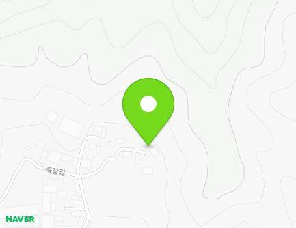 전라남도 함평군 손불면 죽장길 163-26 지도