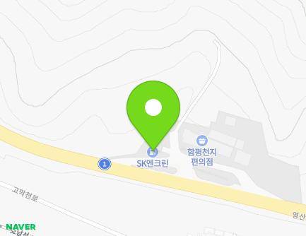 전라남도 함평군 학교면 영산로 3995 지도