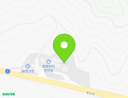 전라남도 함평군 학교면 영산로 4001 (함평천지휴게소) 지도