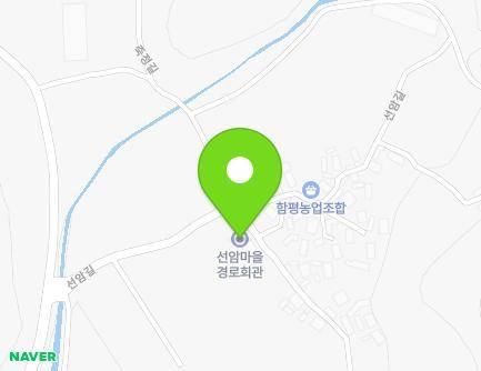 전라남도 함평군 학교면 선암길 20-2 (선암마을경로회관) 지도