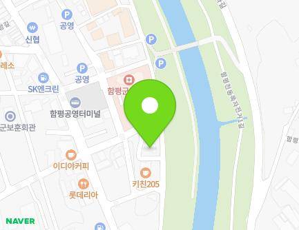 전라남도 함평군 함평읍 중앙길 32-10 (모란정) 지도