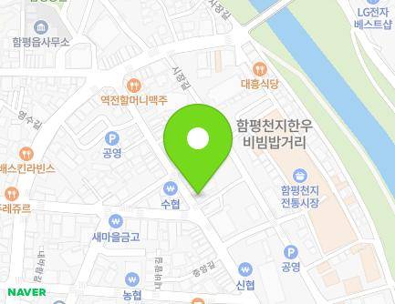 전라남도 함평군 함평읍 중앙길 90 (광주약국) 지도