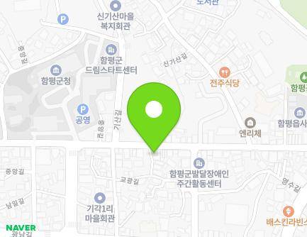 전라남도 함평군 함평읍 중앙길 175 (함평천지공인중개사사무소) 지도
